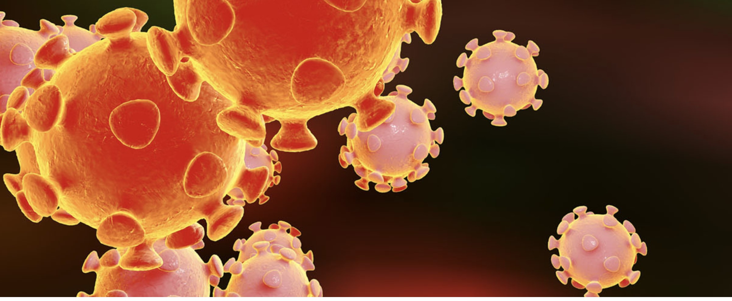 การติดเชื้อโคโรน่าไวรัสสายพันธุ์ใหม่ 2019 (Novel coronavirus 2019) โดย ผศ.พญ.ศรัญญา
