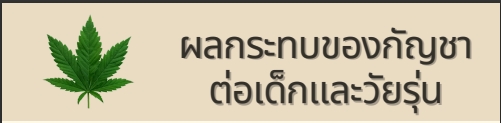 ผลกระทบของกัญชาต่อเด็กและวัยรุ่น