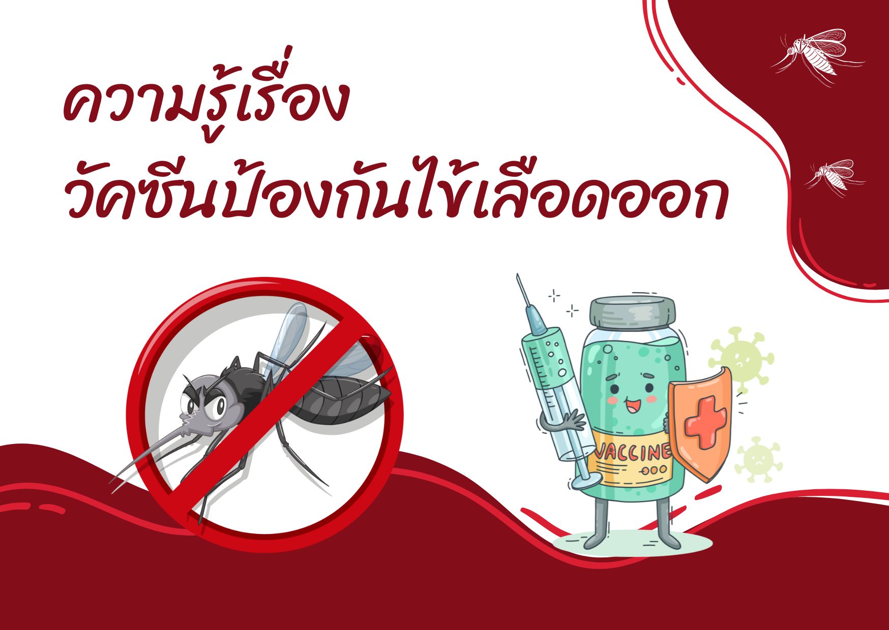 ความรู้เรื่องวัคซีนป้องกันไข้เลือดออก