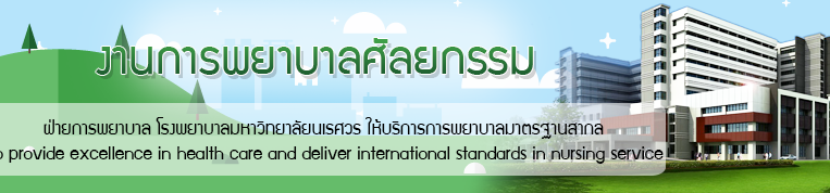 แบนเนอร์ งานการพยาบาลศัลยกรรม 1