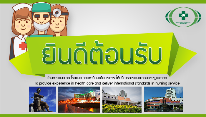 โลโก้ งานสนับสนุนการพยาบาล